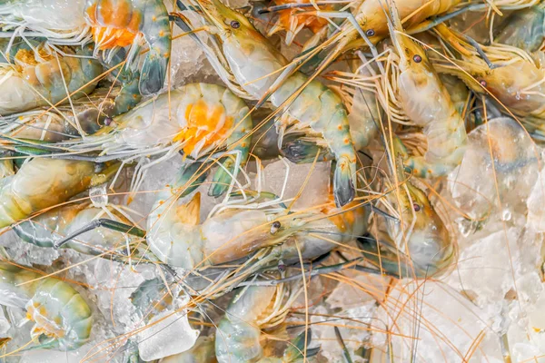 Camarones frescos o langostinos en hielo para la venta en el mercado de mariscos —  Fotos de Stock