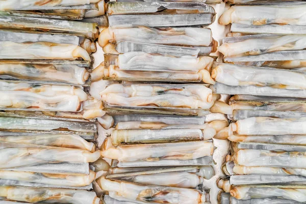 Свежая бритва на льду в кабинке морепродуктов — стоковое фото