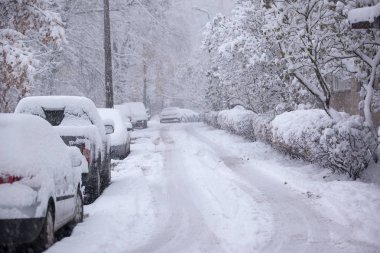 park halindeki arabalar - kar fırtınası