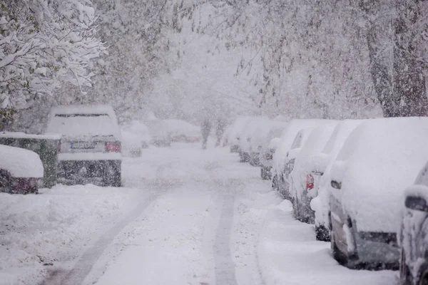 눈 폭풍으로 뒤덮인 주차 된 차들 — 스톡 사진