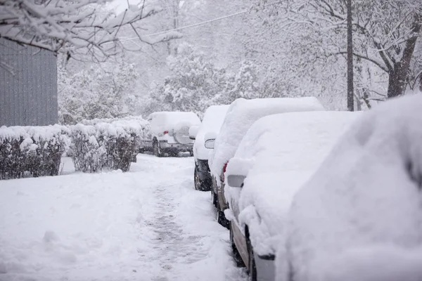 Coches aparcados cubiertos de nieve - tormenta de nieve —  Fotos de Stock