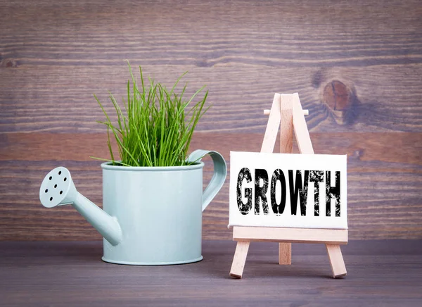 Concepto de negocio de crecimiento. Maceta de riego en miniatura con hierba de primavera verde fresca —  Fotos de Stock
