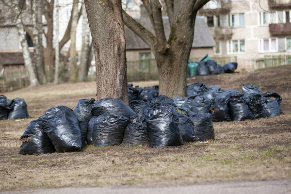 Une pile de sacs poubelle à emporter. nettoyer le parc au printemps et à l'automne — Photo