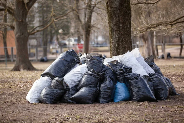 Une pile de sacs poubelle à emporter. nettoyer le parc au printemps et à l'automne — Photo