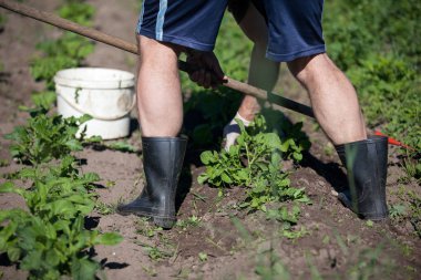 Man çalışma bahçesine bir çapa ile