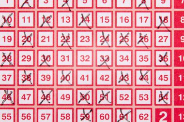 Bingo lotto piyango bileti çapraz numaraları ile