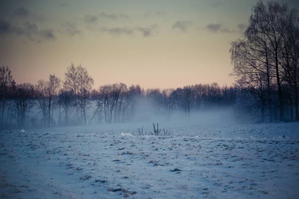 Krajina v zimě, na polích sníh, stromy na horizont, červená obloha v sunrise — Stock fotografie