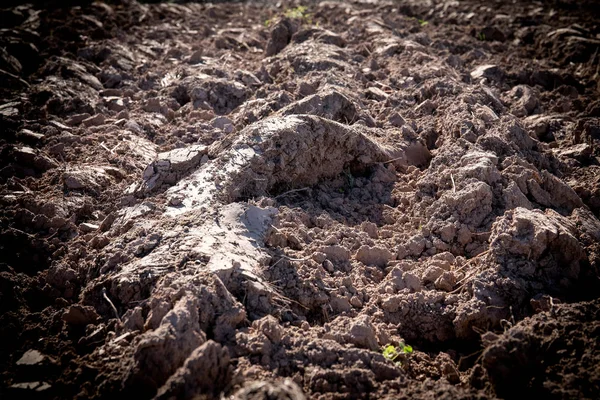 Cultivated agricultural field, spring preparatory work for sowing and planting — Stock Photo, Image