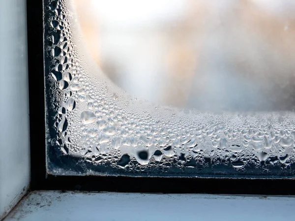 Condensation on window, mold from wet, energy efficiency issues — ストック写真