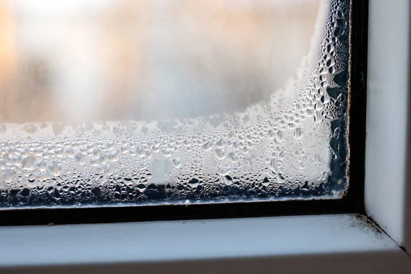 Condensation on window, mold from wet, energy efficiency issues — ストック写真