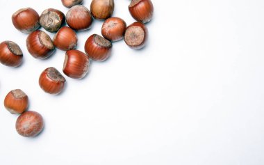 Fındıklar beyaz arkaplanda kopyalama alanı ile