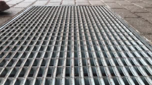 Botas de raspar en la alfombra de la puerta de metal exterior — Vídeo de stock