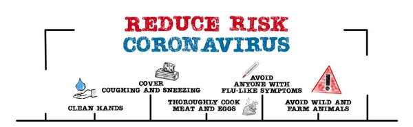 Reduce Risk Coronavirus. Symptoms, hygiene, cooking, wildlife and farm animals. Chart with keywords and icons