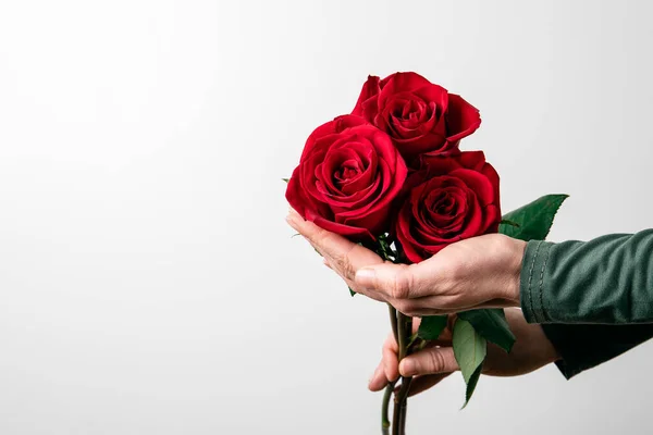 El cuidado de las rosas fotos de stock, imágenes de El cuidado de las rosas  sin royalties | Depositphotos
