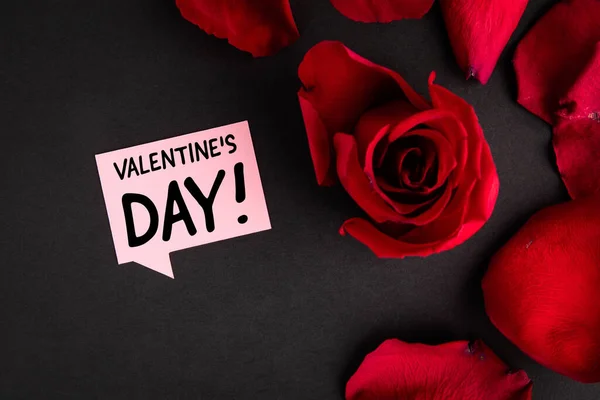 Valentijnsdag. Rode rozenblaadjes en spraakzeepbel — Stockfoto
