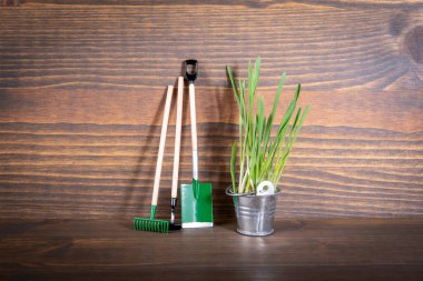 Bahçe aletleri ve metal kovada bahar çimeni. Yatırım planı, ekonomi, büyüme ve kariyer fırsatları kavramı