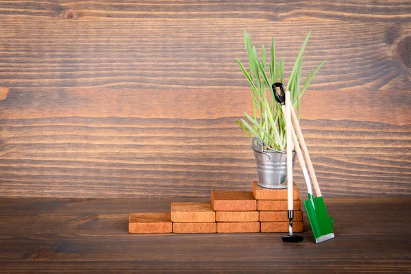 Investimento, negócios, lucros e aposentadoria Conceito. Grama verde em balde de metal nas escadas — Fotografia de Stock