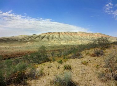Kretase çökeller ve tortul kayaçlar.