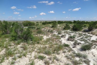 Ustyurt Yaylası. Batı Kazakistan