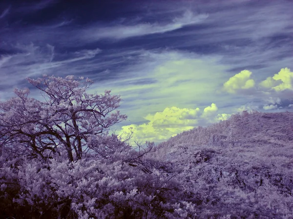 Montaña Ural Sur, Valle del río Zilair, Fotografía de infrarrojos . —  Fotos de Stock