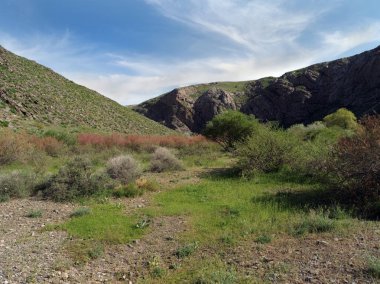 Karatau dağlar (Tian Shan teşvik)