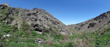 Karatau dağlar (Tian Shan teşvik)