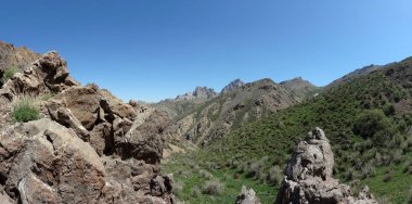 Karatau dağlar (Tian Shan teşvik)