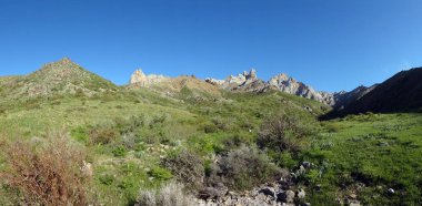 Karatau dağlar (Tian Shan teşvik)