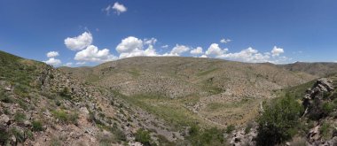 Karatau dağlar (Tian Shan teşvik)