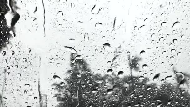 在雨中的玻璃上的水滴的特写 — 图库视频影像