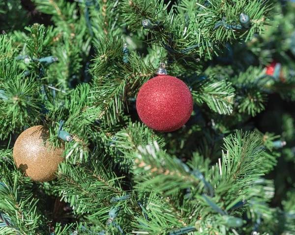 stock image Red ball ornament hanging on Christmas pine branches at daytime light close-up