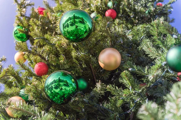 Green ball ornament hanging on Christmas pine branches at daytime light close-up
