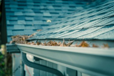 Shallow DOF clogged gutter near roof shingles of residential house full of dried leaves clipart