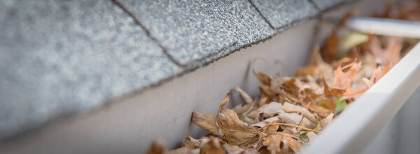 Panoramic view gutter full of dried leaves near roof shingles with satellite dish in background