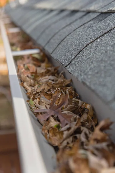 Blocked gutter full of autumn dried leaves and debris clogging in Texas, America — Stock Photo, Image