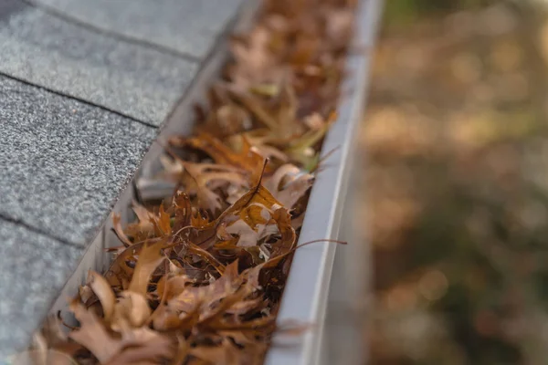 Blocked gutter full of autumn dried leaves and debris clogging in Texas, America — Stock Photo, Image