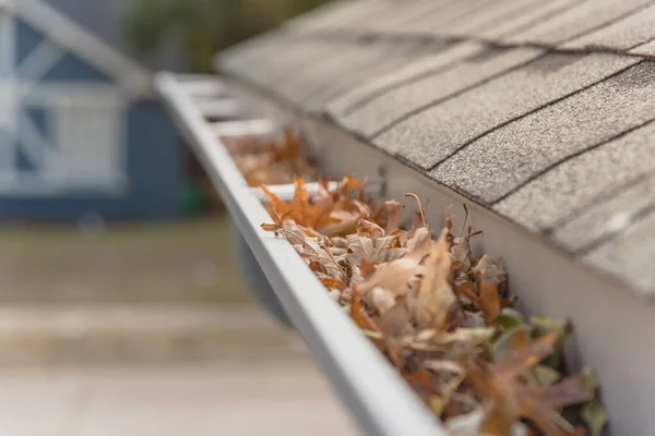 Blocked gutter full of autumn dried leaves and debris clogging in Texas, America — Stock Photo, Image