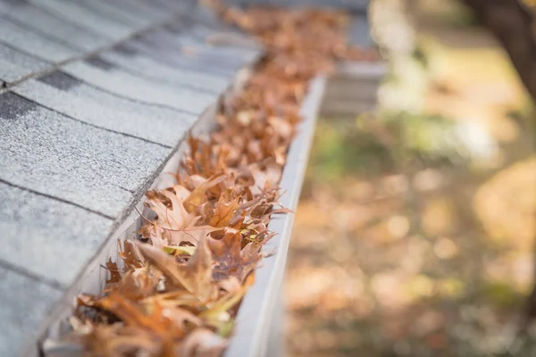 Shallow DOF clogged gutter near roof shingles of residential house full of dried leaves — Stock Photo, Image