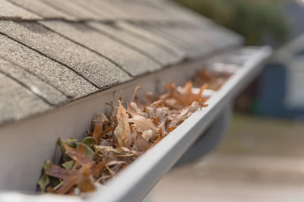 Blocked gutter full of autumn dried leaves and debris clogging in Texas, America — Stock Photo, Image