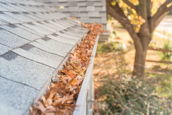 Canalón en el patio delantero cerca de tejas de techo de la casa residencial llena de hojas secas —  Fotos de Stock