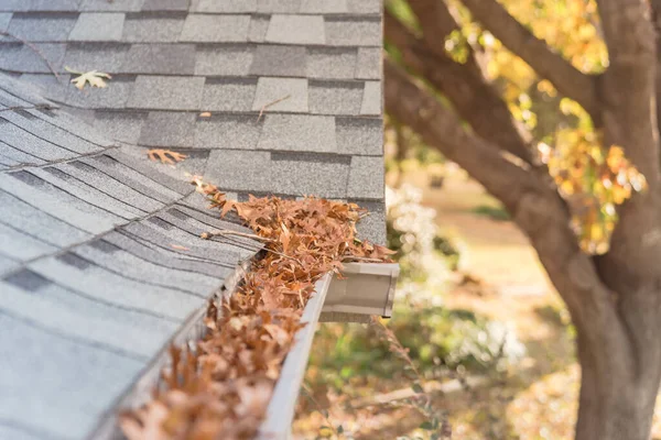 Verstopfte Dachrinne in Vorgarten nahe Dachschindeln von Wohnhaus voller getrockneter Blätter — Stockfoto