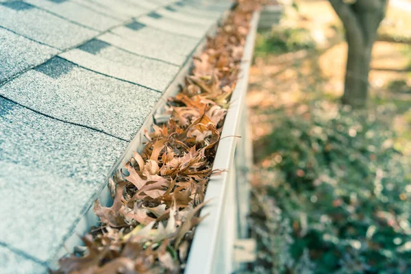 Clogged gutter at front yard near roof shingles of residential house full of dried leaves — Stock Photo, Image