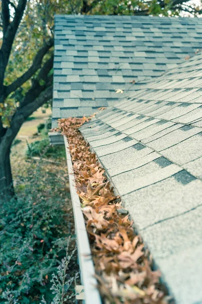 Clogged gutter at front yard near roof shingles of residential house full of dried leaves