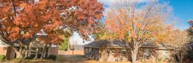 Dallas 'ın banliyölerinde tek katlı panoramik bungalov evleri. Parlak sonbahar yeşillikleri var.