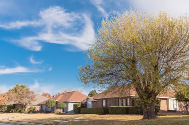 Dallas 'ın banliyölerindeki tek katlı bungalov evleri. Parlak sonbahar yeşillikleri var.