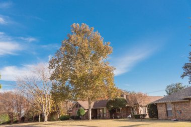 Dallas 'ın banliyölerindeki tek katlı bungalov evleri. Parlak sonbahar yeşillikleri var.