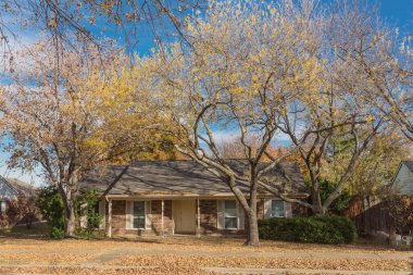 Dallas 'ın banliyölerindeki tek katlı bungalov evleri. Parlak sonbahar yeşillikleri var.