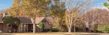 Dallas 'ın banliyölerinde tek katlı panoramik bungalov evleri. Parlak sonbahar yeşillikleri var.