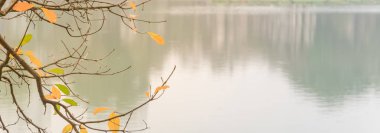 Hoan Kiem Gölü 'ndeki panoramik manzara Hanoi' deki parlak tatlı su mangrov yapraklarıyla