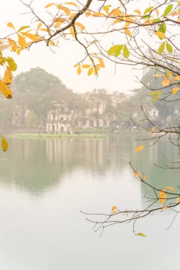 Hoan Kiem Gölü, Hanoi 'deki tatlı su mangrov ve kaplumbağa kulesinin parlak sarı yaprakları.